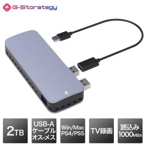 G-Storategy SSD 外付け 2TB 小型 ポータブル PS5 PS4対応 動作確認済 コンパクト 軽量 USB3.2Gen2 USB TypeA FFF NV33502EX-GY｜marshal