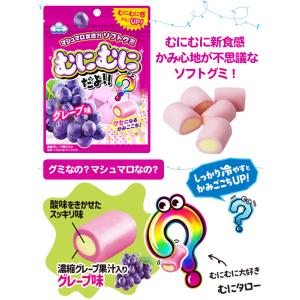 むにむにだよ(グレープ味) 【噛み心地が新食感...の詳細画像2
