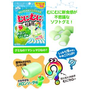 むにむにだよ(メロンソーダ味) 【噛み心地が新...の詳細画像2