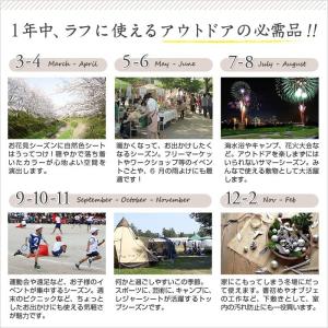 [日本製] ニュアンスカラー ブルーシート 3...の詳細画像2