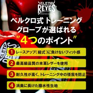 REYES レイジェス ボクシング グローブ ...の詳細画像2
