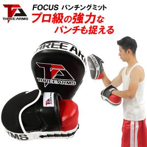 Everlast 【エバーラスト】湾曲型 　ボクシング　ミット 格闘技 Everlast 【エバーラスト】湾曲型パンチミット Punch Mittts