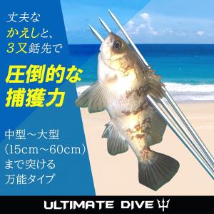 Ultimate Dive 銛先 パラライザー...の詳細画像1