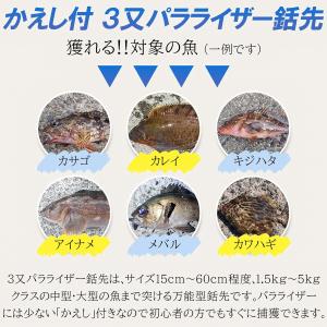 Ultimate Dive 銛先 パラライザー...の詳細画像2