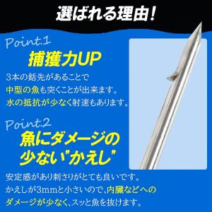 Ultimate Dive 銛先 パラライザー...の詳細画像3