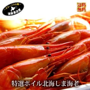 北海シマエビの商品一覧 通販 Yahoo ショッピング