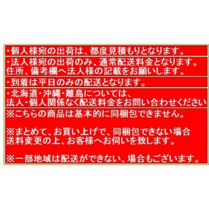 【DIY・家庭用】EARTH MAN アースマ...の詳細画像2