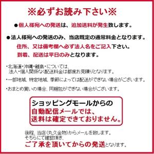 【DIY・家庭用】EARTH MAN アースマ...の詳細画像3