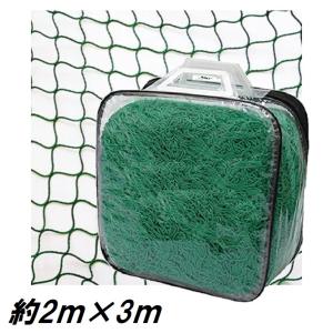 PE養生ネット 2m×3m ポリエチレン 25mm目 万能ネット 園芸ネット
