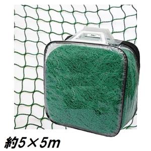 PE養生ネット 5m×10m ポリエチレン 25mm目 万能ネット 園芸ネット