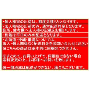 【配送条件有】若井産業【躯体用・JIS品】ワイ...の詳細画像2