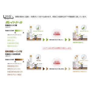 日本ボレイト ホウ酸防蟻気密シーリング材 ボレ...の詳細画像3
