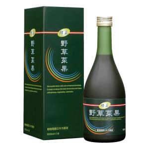 BITOKEN 美と健フレッシュ酵素(720mL×2本入)【ビトケン】 : マルアイ