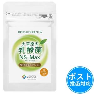アルタイのNS乳酸菌「新NS-Dx」 : SandS-market - 通販 - Yahoo