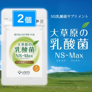 アルタイのNS乳酸菌「新NS-Dx」 : SandS-market - 通販 - Yahoo