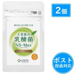 アルタイのNS乳酸菌「新NS-Dx」 : SandS-market - 通販 - Yahoo