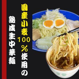 広島つけ麺4食 お試しセット 1000円ポッキ...の詳細画像3