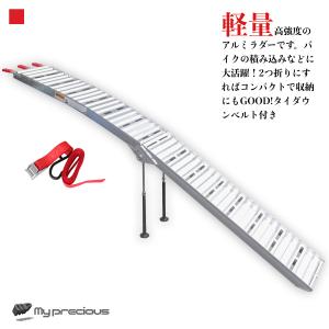 アルミブリッジ アルミラダーレール 折りたたみ式(8.5kg)_SN