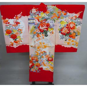 一ツ身着物でんちセット 0～2歳 白綸子 お宮参り 初着 産着 正絹　9RA2 祝い着 袷 一つ身 でんちセット 一つ身セット 正絹 女の子 お宮参り 鶴