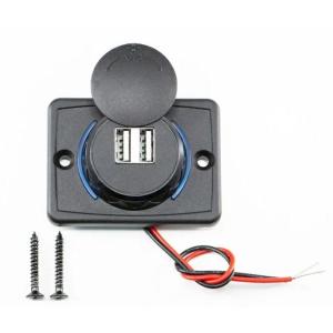 JET INOUE ジェットイノウエ USBソケット UCC-309-2U-1P LED色：ブルー ...