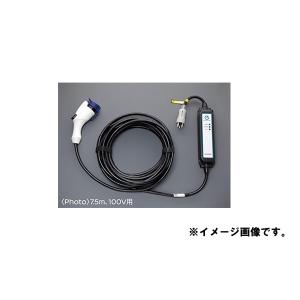 SAKURA 充電ケーブル （コントロールボックス付） 日産純正部品 B6AW