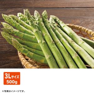 ギフト　産直　新鮮　北海道産 グリーンアスパラガス３Ｌ  （旬24-220）｜maruetsu-fure