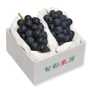 ぶどう　葡萄　長野県産 ナガノパープル２〜３房 ２〜３房（220_梨23）
