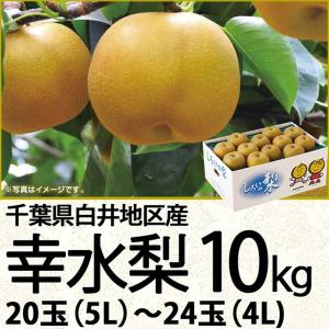 千葉県産 白井地区産幸水梨１０ｋｇ５Ｌ〜４Ｌ ２０玉〜２４玉（220_梨25）