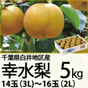 千葉県産 白井地区産幸水梨５ｋｇ３Ｌ〜２Ｌ １４〜１６玉（220_梨26）