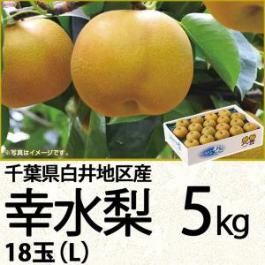 千葉県産 白井地区産幸水梨５ｋｇＬ １８玉（220_梨24）