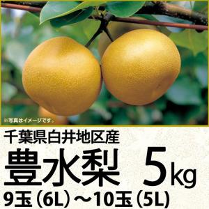 千葉県産 白井地区産豊水梨５ｋｇ６Ｌ〜５Ｌ ９玉〜１０玉（220_梨26）
