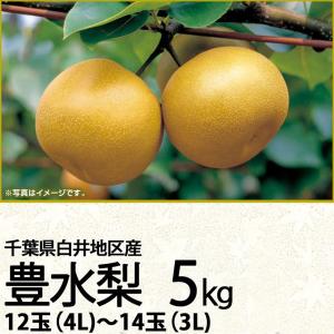 千葉県産 白井地区産豊水梨５ｋｇ４Ｌ〜３Ｌ １２玉〜１４玉（220_梨26）