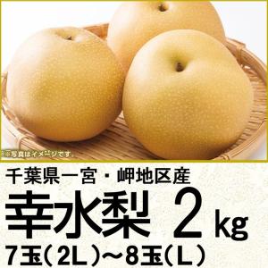 千葉県産 幸水梨２ｋｇ２Ｌ〜Ｌ ７玉〜８玉（220_梨25）