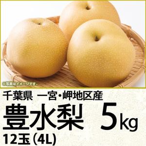 千葉県産 豊水梨５ｋｇ４Ｌ １２玉（220_梨26）