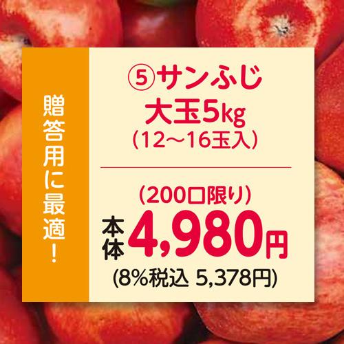 りんご　林檎（贈答用）（予約）（５）長野県産中島農園サンふじ大玉５ｋｇ（１２〜１６玉入）