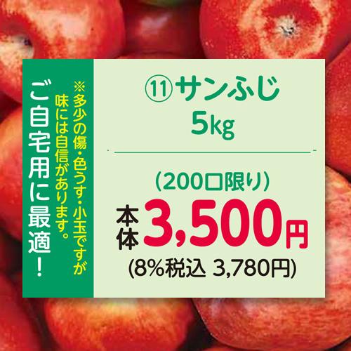 りんご　林檎（お自宅用）（予約）（１１）長野県産中島農園ご自宅用サンふじ５ｋｇ ※多少のキズ、色うす...