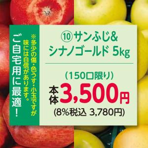 りんご　林檎（お自宅用）（予約）（１０）長野県産中島農園ご自宅用サンふじ＆シナノゴールド５ｋｇ ※多少のキズ、色うす、小玉の場合があります。
