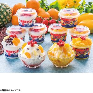 (銀行振込決済受付は終了しました) お中元　ギフト　アイス　セイカ食品・鹿児島　南国白くまＤＸ詰合せ　DXМ-35（240_21夏）