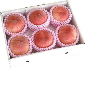 (銀行振込決済受付は終了しました) お中元　ギフト　福島県産　伊達の桃　（220_21夏）