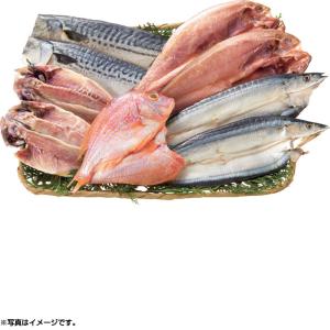 (銀行振込決済受付は終了しました)海鮮　明石「丸新」 「灰干」干物セット （230_21冬）