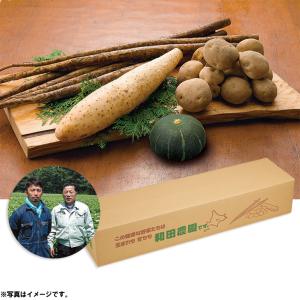 お歳暮　御歳暮　和田農園（北海道十勝地区） 和田さんの野菜詰合せセット
