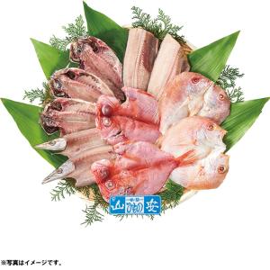 お歳暮　御歳暮　小田原加工 「山安」干物セット （230_22冬）