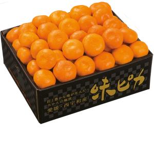 お歳暮 御歳暮 果物 フルーツ 愛媛県産 味ピカみかん LサイズまたはMサイズ5kg
