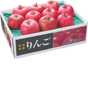 お歳暮 御歳暮 果物 フルーツ 青森県産 蜜入りサンふじりんご2．5kg