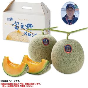 (銀行振込決済受付は終了しました)お中元　ギフト　フルーツ　果物　 北海道産 清水さんたちのふらのメロン２Ｌサイズ１玉（１．６ｋｇ） （220_23夏）