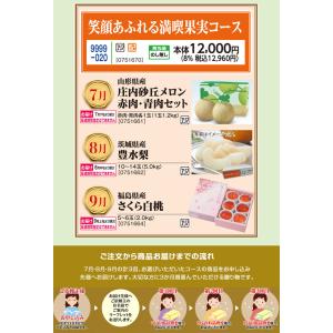 お中元　ギフト　笑顔あふれる満喫果実コース （220_26夏）