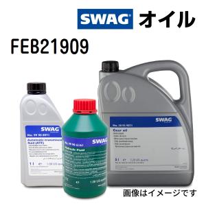 Swag（スワッグ） DCTF-1 39070 ATF DCT DSG オイル SWG30939070 容量