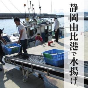 生しらす(生シラス)100g|静岡県産 ご当地...の詳細画像1