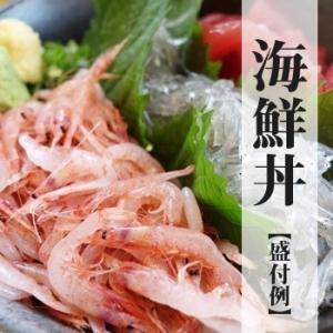 2026年春漁新物 生桜えび100g×2、生し...の詳細画像5