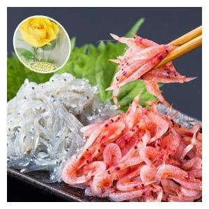 父の日ギフト｜生桜えび100g×2、生しらす100g×2、黄色バラセット 送料無料※本日のご注文は6/19商品発送となります